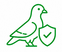 Bird Control Services in Dubai