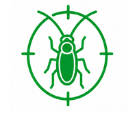 Cockroach Pest Control Services in Dubai