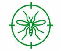 Mosquito Control Services in Dubai