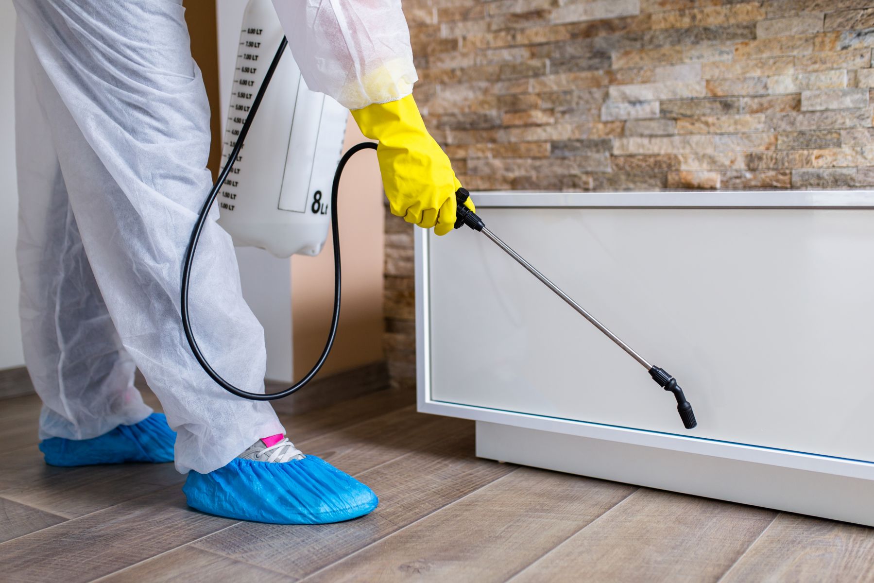 Professional Bed Bug Pest Control Services in Dubai | Heat Treatment & Extermination