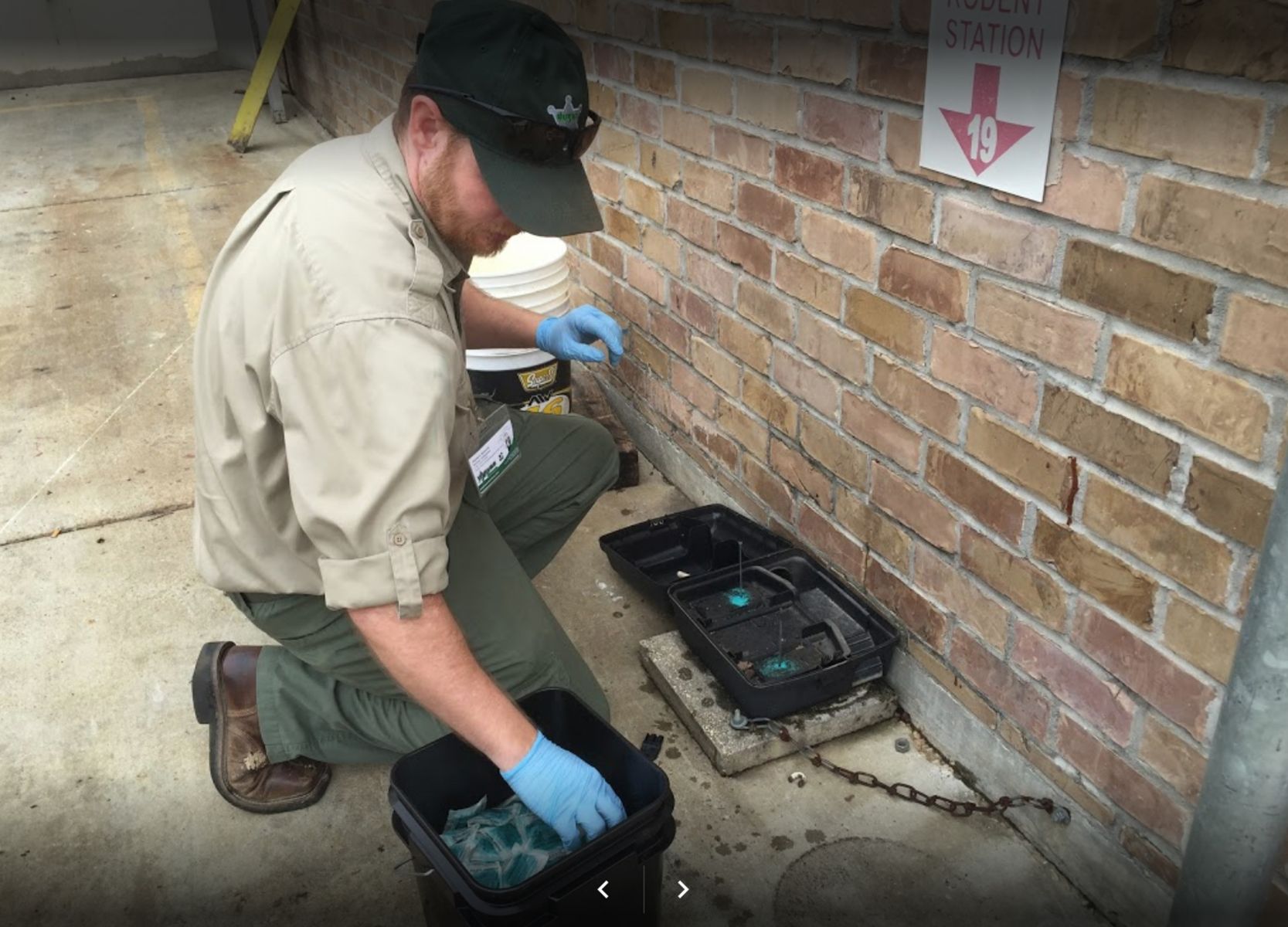 Reliable Rat Pest Control Services in Dubai | Rodent Control Near You