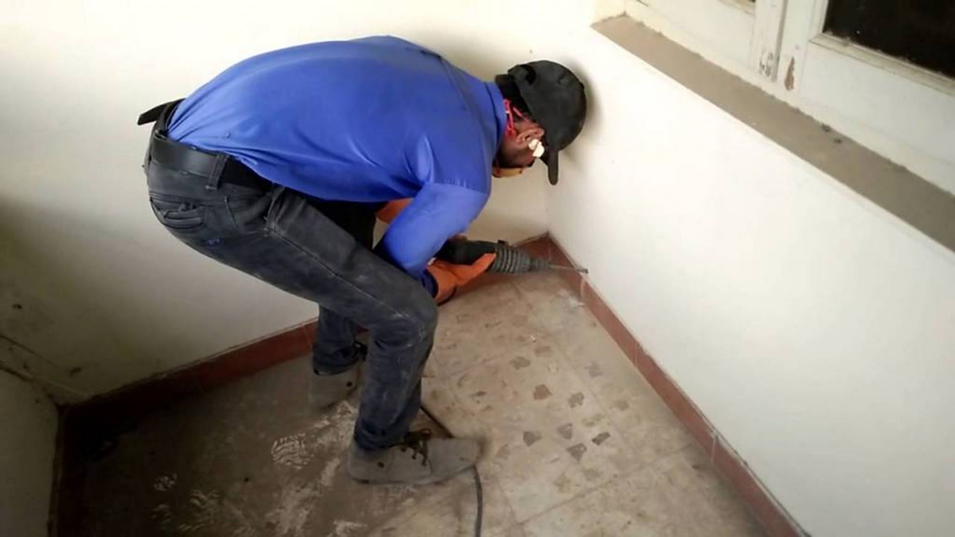 Effective Anti-Termite Pest Treatment in Dubai | Guaranteed Results